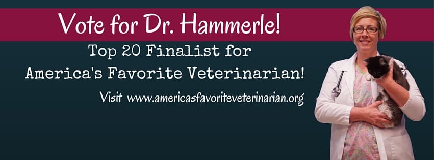 Dr. Hammerle Nominated for America’s Favorite Veterinarian!