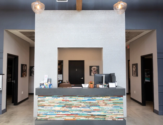 Compassionate Veterinary Care