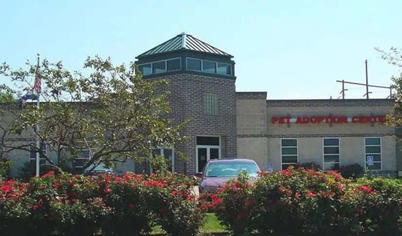 St. Charles County Pet Adoption Center